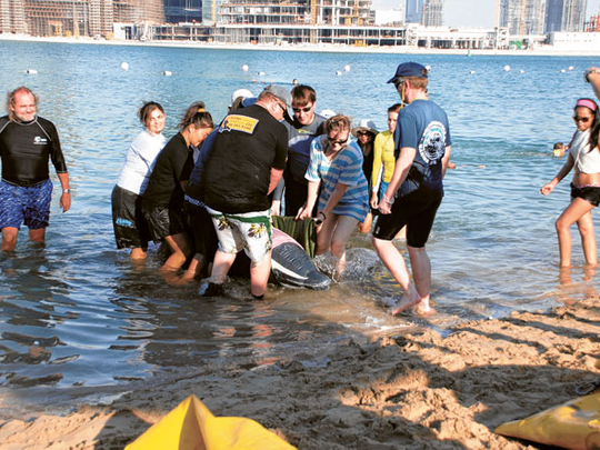 Marine mammal rescue course for better awareness