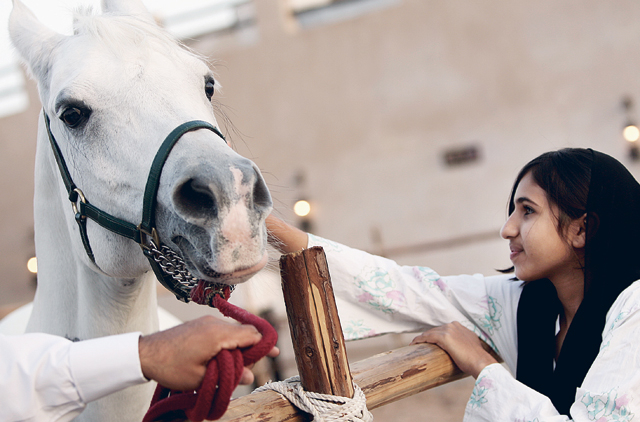 Arabian Horses Are Among Most Prized Uae Gulf News