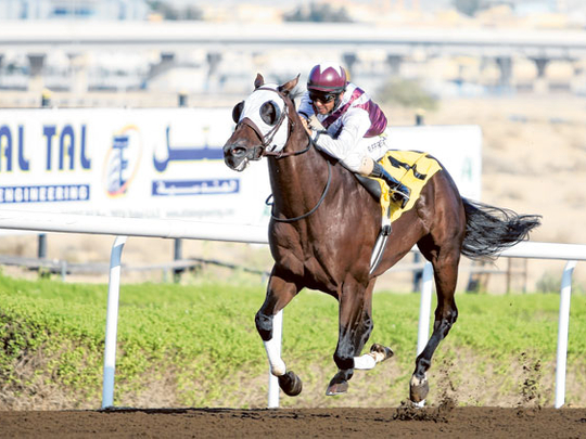 Top teams share spoils on opening day of UAE flat racing season at ...