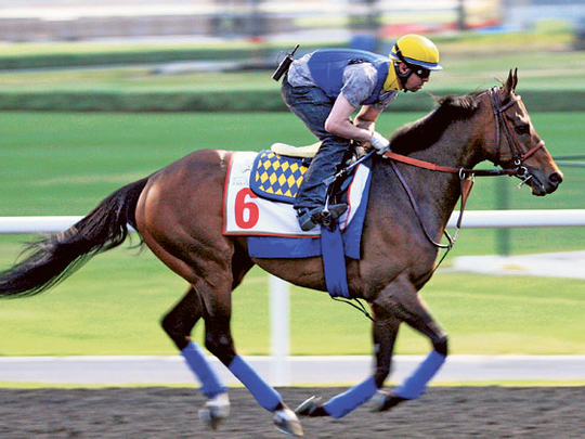 Excitement building on the track at Meydan | Horse-racing – Gulf News