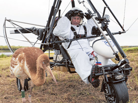 Birdman Putin Flies With Rare Cranes Oceania Gulf News