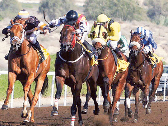 Jebel Ali Racecourse all set to rock | Horse-racing – Gulf News