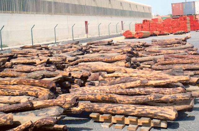 Sandalwood Worth Rs 16 Crore Seized At Private Warehouse Near Chennai Port