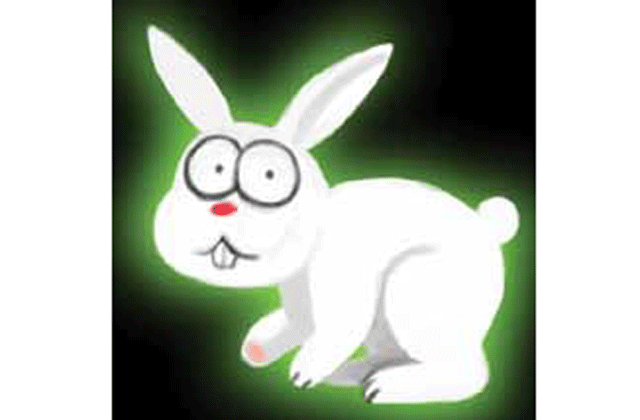 Rabbits that glow green in the dark | Americas – Gulf News