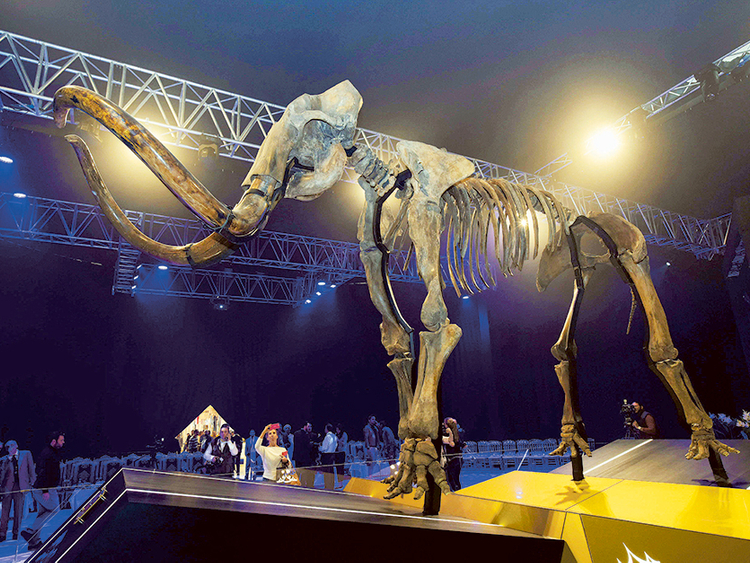 15,000 year-old woolly mammoth unveiled in UAE | Science – Gulf News