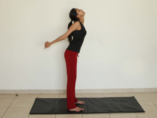 Gentle Seated Yoga Poses for Office you can master in 3 Days - With Video  References