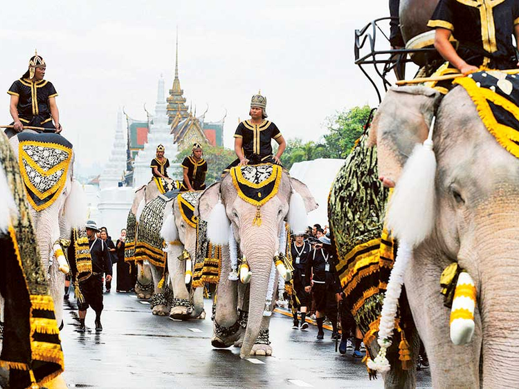 White elephants, mahouts pay respects to late Thai king