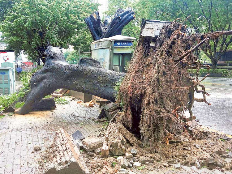 Hong Kong shuts down as Typhoon Nida heads across China | Asia – Gulf News