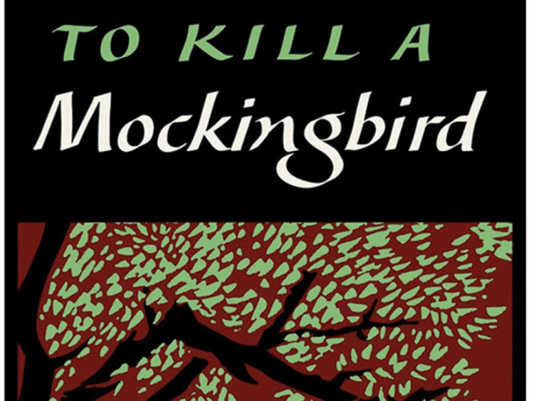 to kill a mockingbird a graphic novel
