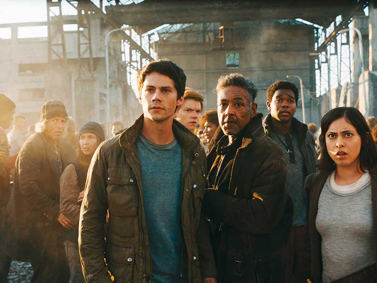 Maze Runner' Foreign Box Office: 'Runner' Sprints to the Top