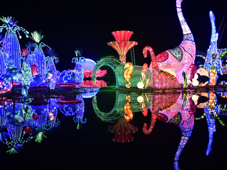 Dubai Glow Garden opens with new attractions | Uae – Gulf News