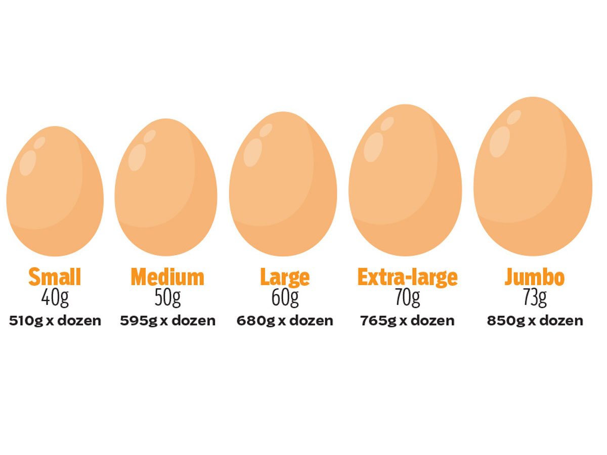 GET CRACKING 7 WAYS TO BUY THE BEST EGGS