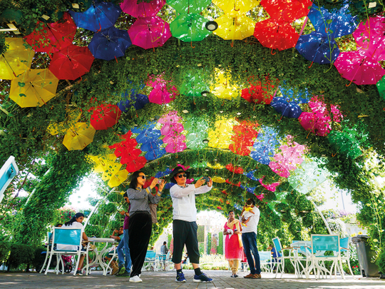 Dubai Miracle Garden: The power of the flower