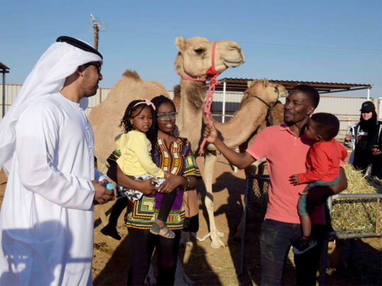 Tourists at the Camel Farm