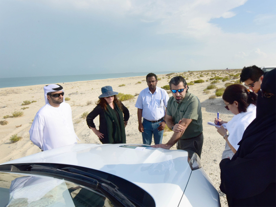 Why this last stretch of pristine beach in Jebel Ali is special