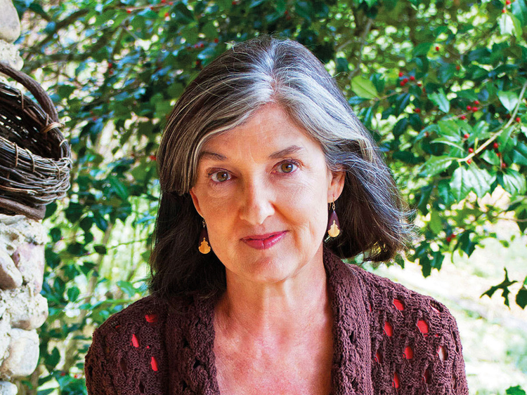 Barbara Kingsolver’s tale of two Americas Books Gulf News