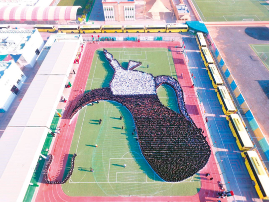 Guinness-Record-set-by-students