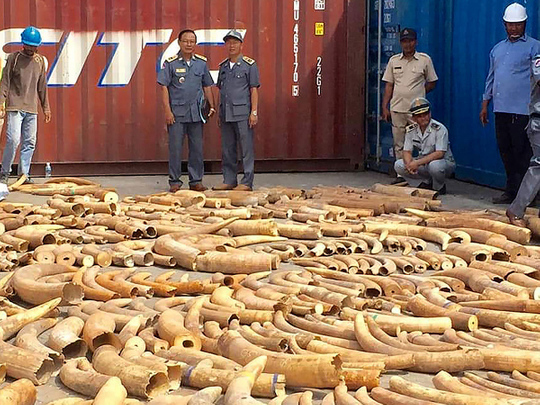 Cambodia ivory bust