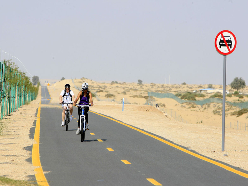 Al Qudra Cycle track
