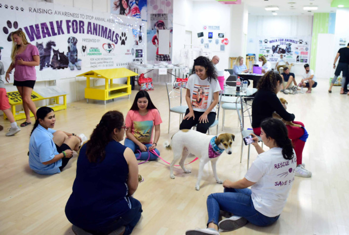 are dogs allowed in dubai mall