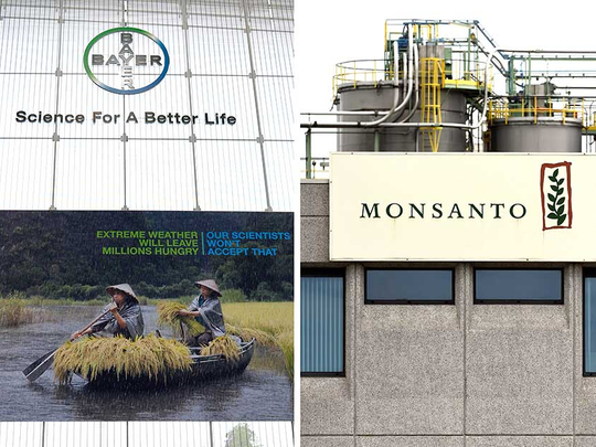 Bayer To Ditch Monsanto Name After Mega-merger | Business – Gulf News