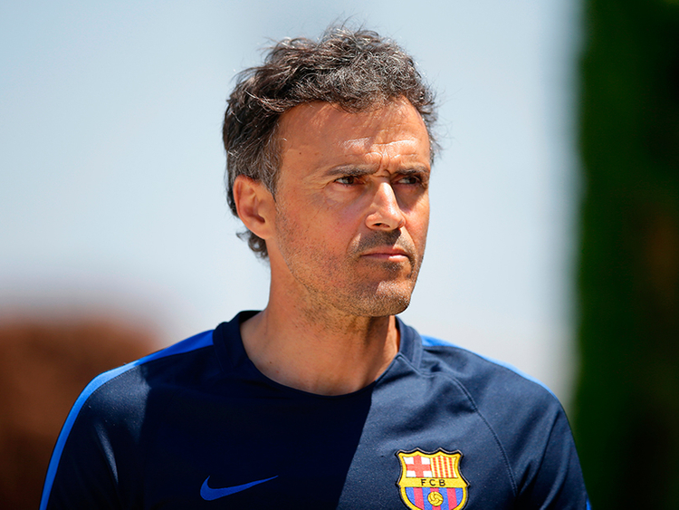 Spain coach Luis Enrique steps down for personal reasons, Robert