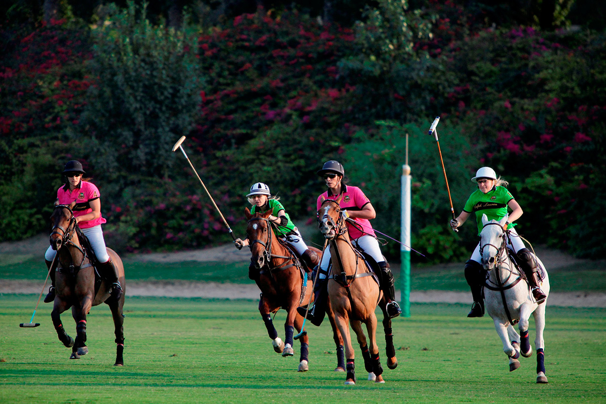 Polo in the UAE