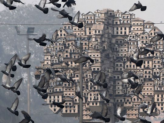 Pigeons fly near a sculpture during a cold and foggy morning in Lahore.