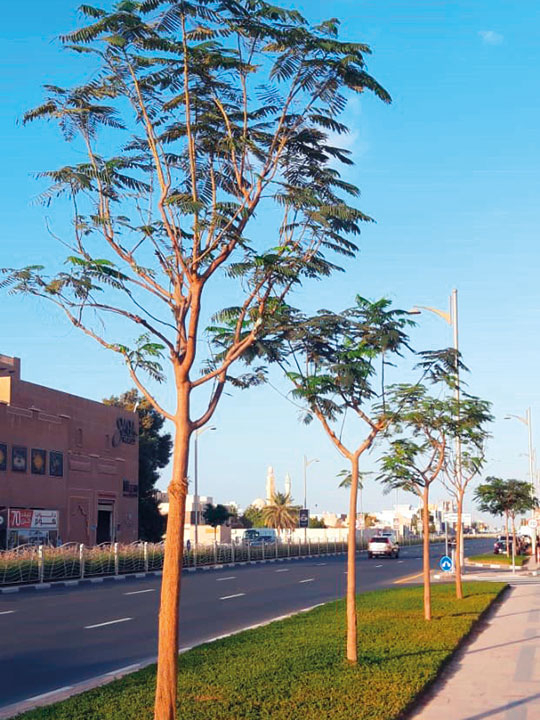 Jumeirah Beach Road.