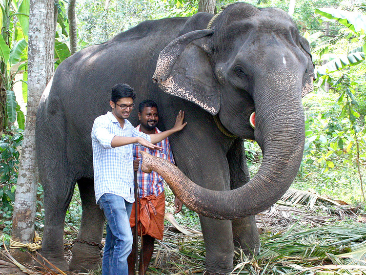 Asian elephant believed to be the oldest ever in captivity has died ...