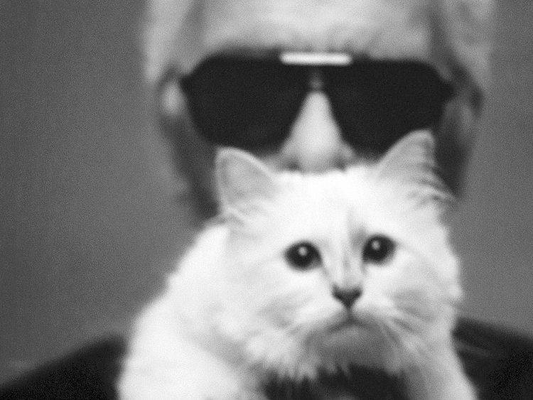 Choupette: Karl Lagerfeld's Famous Cat Is The Subject Of A New Photography  Book