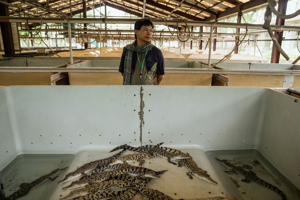 Salvador Guion, who heads a crocodile rescue team, at the wildlife center 2654