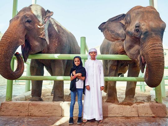NAT-190319-EMIRATES-ZOO-(Read-Only)