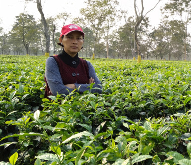 Woman breaks 180 year old tea estate tradition India Gulf News