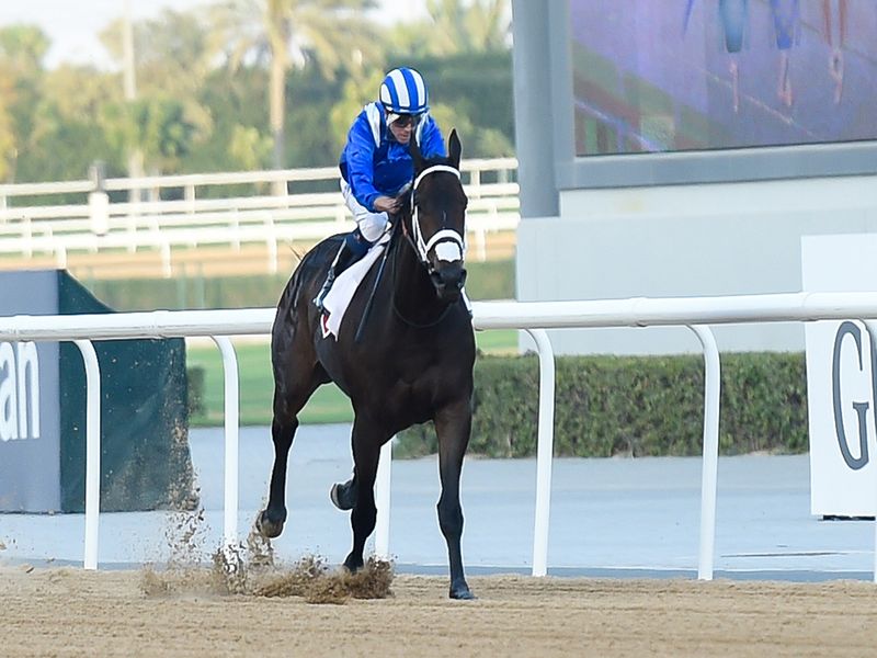 Dubai World Cup 10 horses to track Horseracing Gulf News