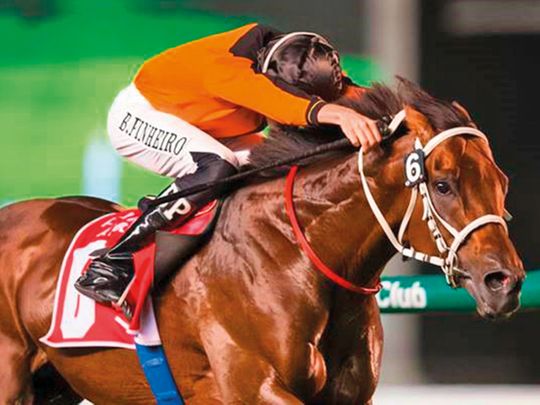 Bouresly takes out Meydan feature