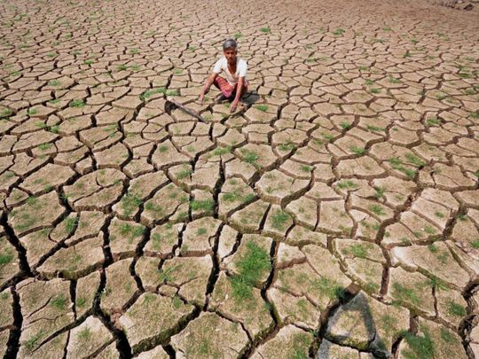 india_drought-1556629031050