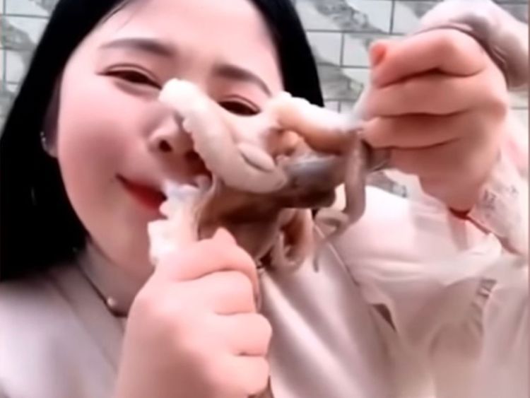 Chinese vlogger tries to eat octopus alive, gets attacked | Asia – Gulf News
