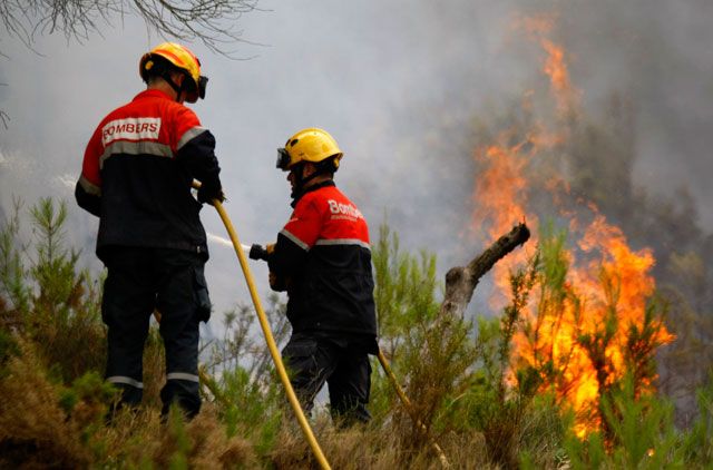 Wildfires claim lives of two firefighters in Spain | Europe – Gulf News