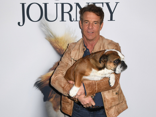 Dennis Quaid And His Dog Peaches Are Inseparable Hollywood Gulf News