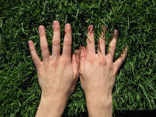 Hands on grass