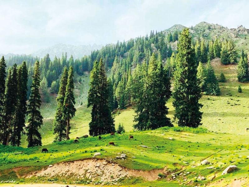 Kumrat valley in Khyber Pakhtunkhwa