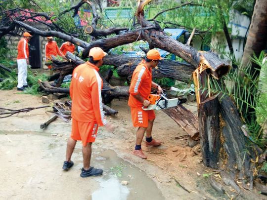 NDRF soldiers cut branches of an uprooted tree