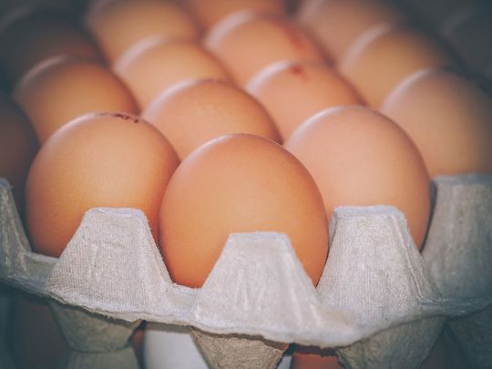 A tray of eggs.