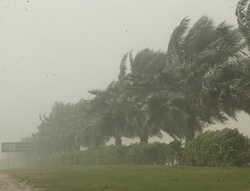 Sand storms hit UAE | Environment – Gulf News