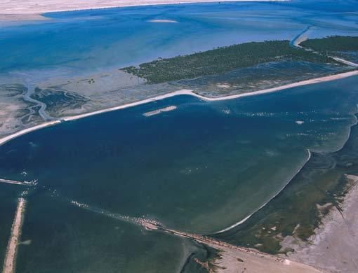 Ras Al Khor sanctuary listed as only protected wetland in UAE ...