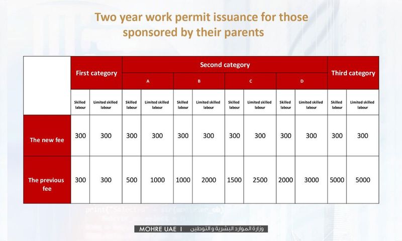 Two-year work permit issuance for those sponsored by their parents 021244