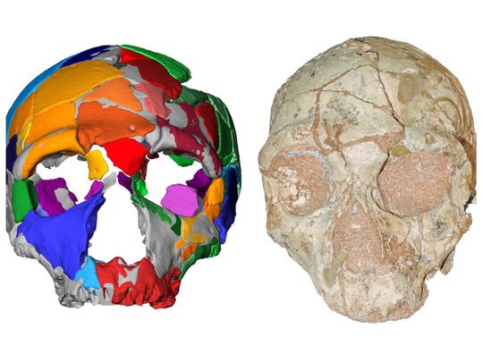 A skull named Apidima 2