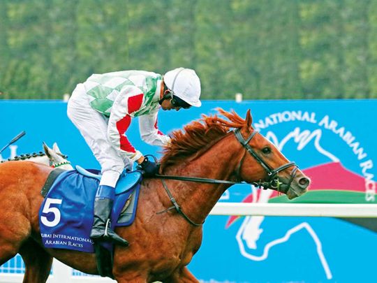Dubai International Arabian Races 