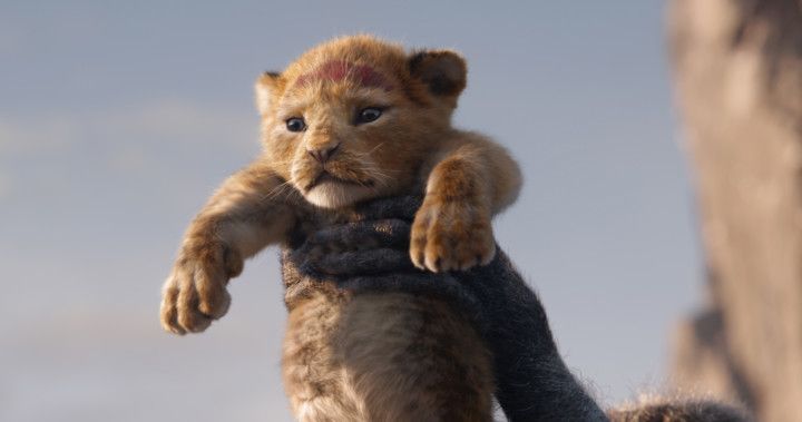 Lion King review6-1563341385459